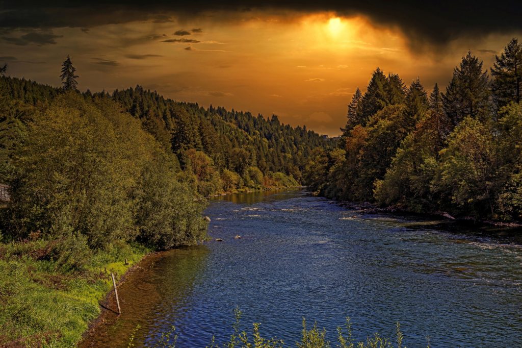 McKenzie River Oregon